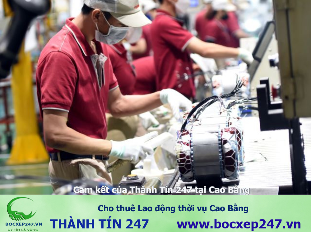 Cho thuê Lao động thời vụ Cao Bằng