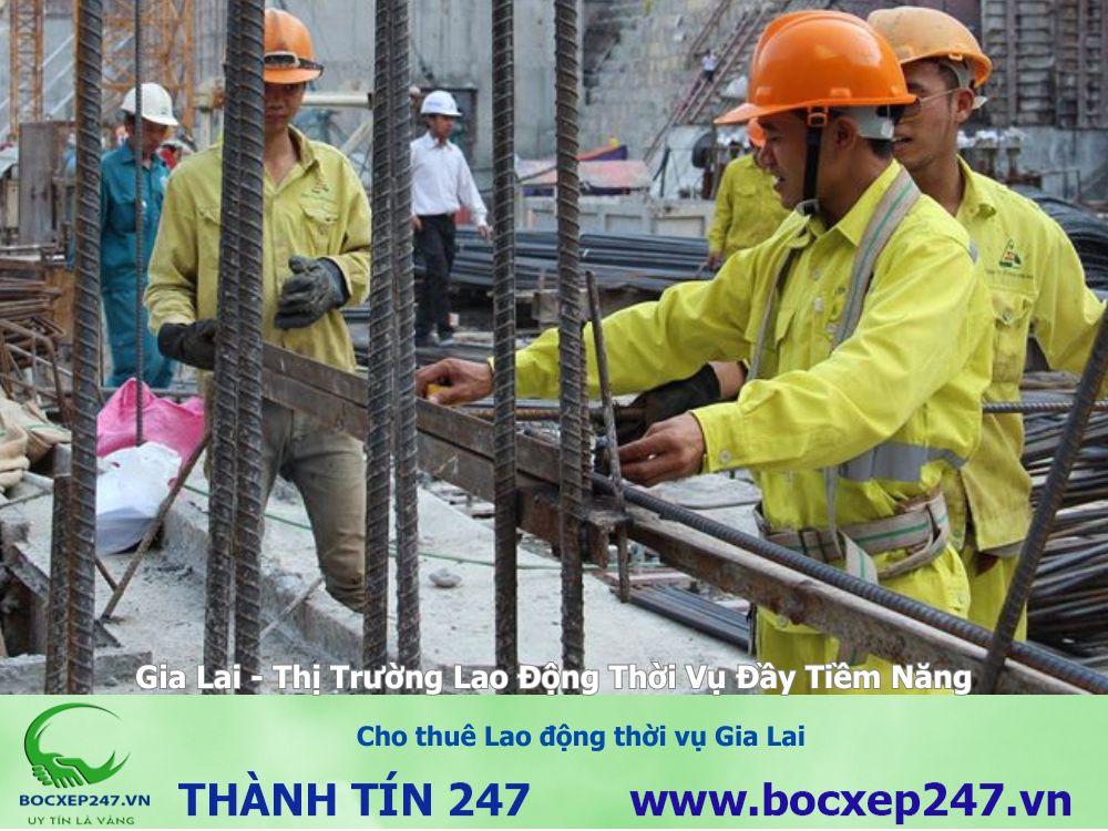 Cho thuê Lao động thời vụ Gia Lai