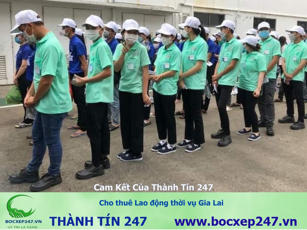 Cho thuê Lao động thời vụ Gia Lai