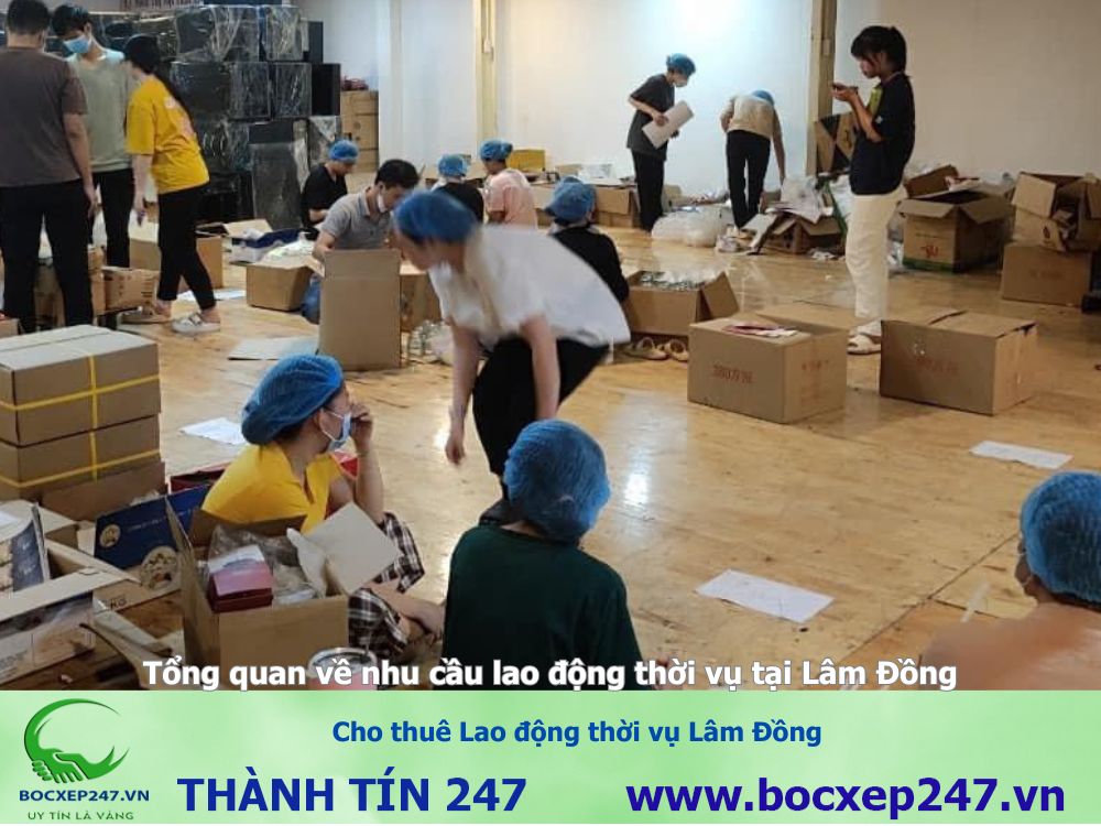 Cho thuê Lao động thời vụ Lâm Đồng