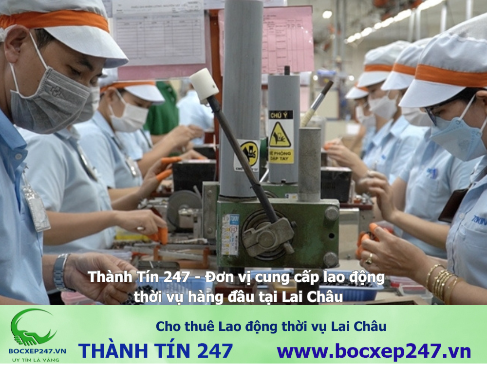 Cho thuê Lao động thời vụ Lai Châu