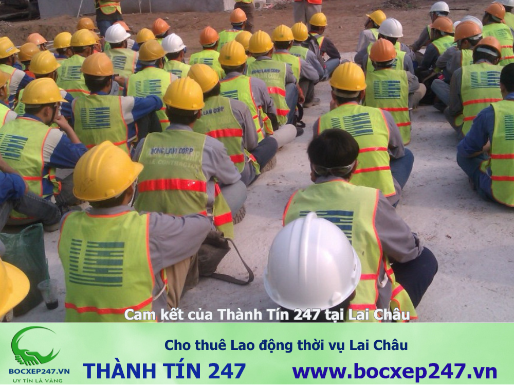 Cho thuê Lao động thời vụ Lai Châu