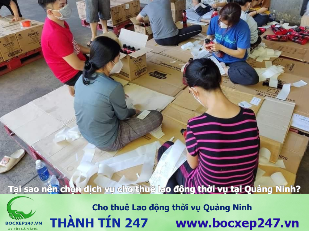 Cho thuê Lao động thời vụ Quảng Ninh