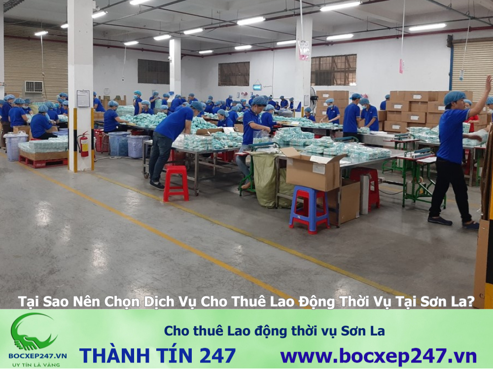 Cho thuê Lao động thời vụ Sơn La