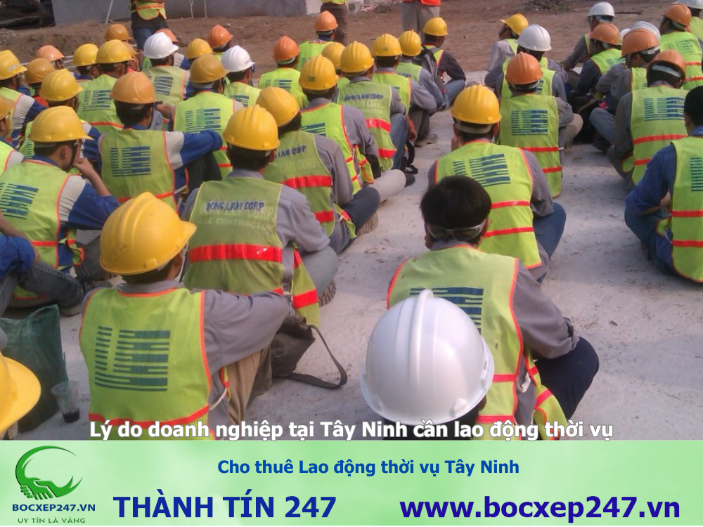 Cho thuê Lao động thời vụ Tây Ninh