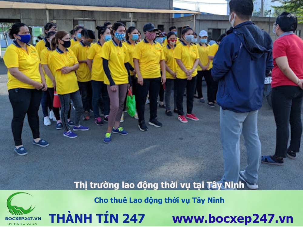 Cho thuê Lao động thời vụ Tây Ninh