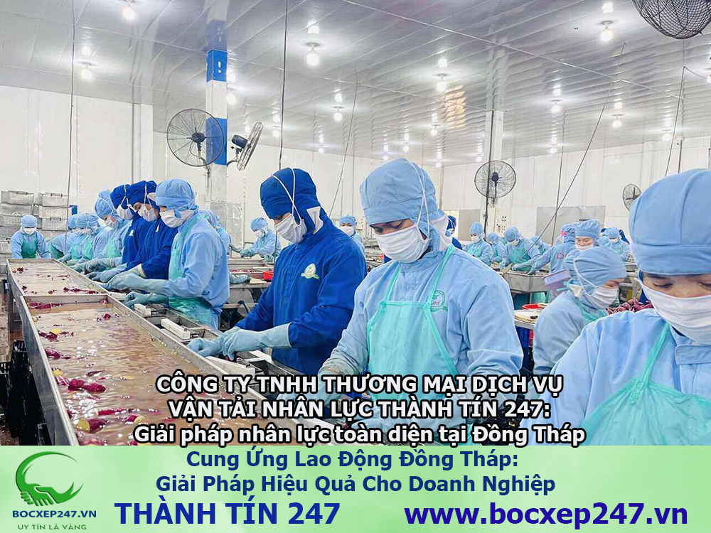 Bảng báo giá cung ứng lao động Đồng Tháp