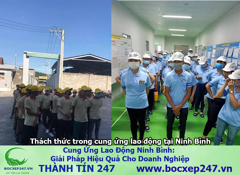 cung ứng lao động