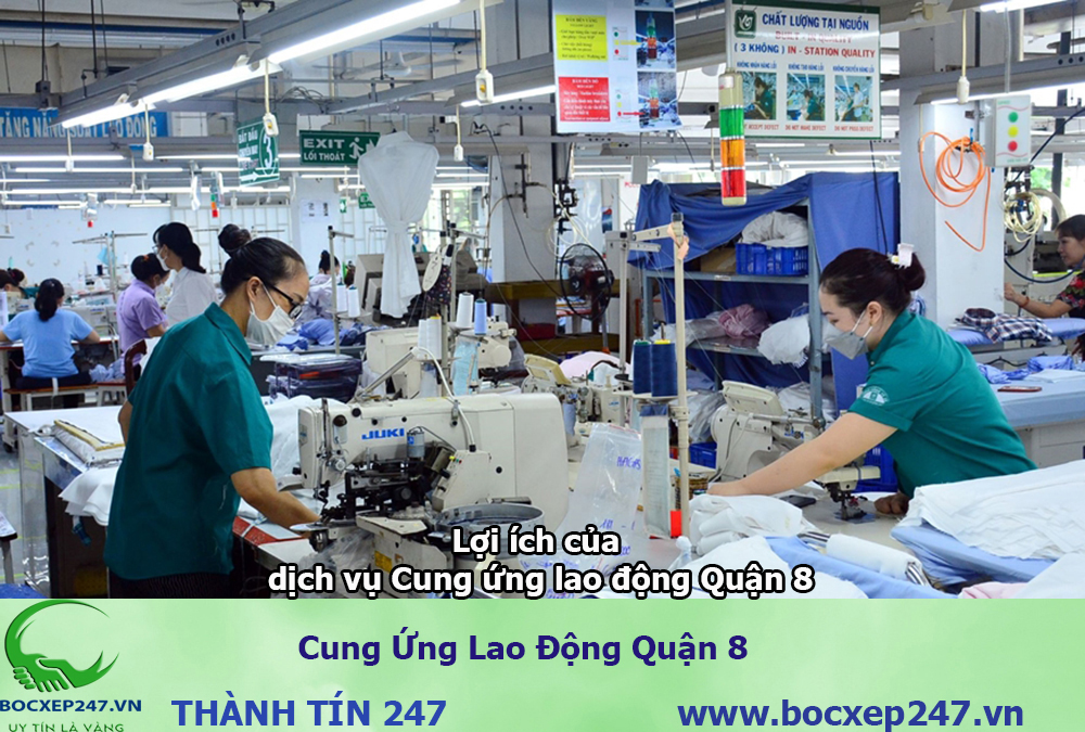Bảng báo giá cung ứng lao động Quận 8