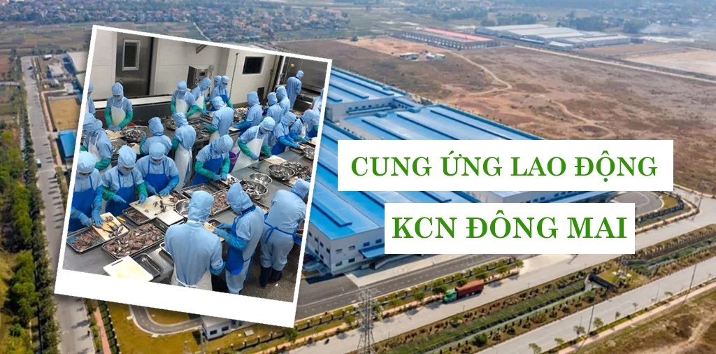 KCN Đông Mai tập trung nhiều doanh nghiệp, tập đoàn cùng nhu cầu cung ứng lao động tăng cao