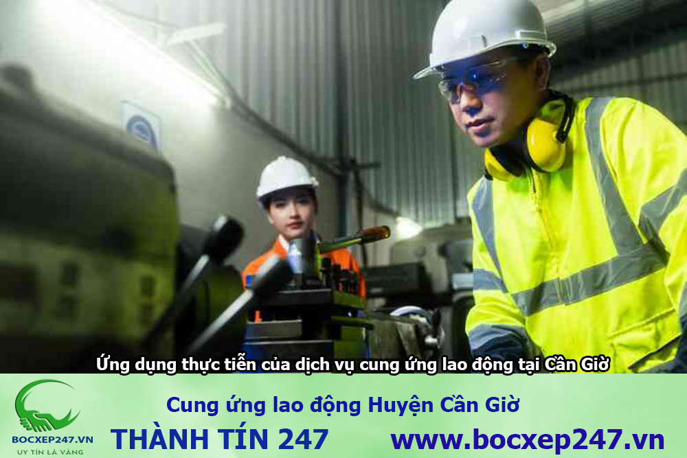 cung ứng lao động