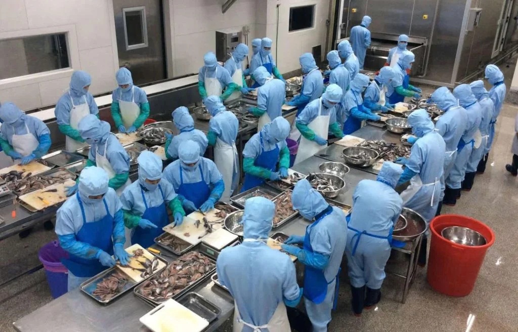 Đội ngũ lao động thời vụ hỗ trợ doanh nghiệp trong dịp cao điểm