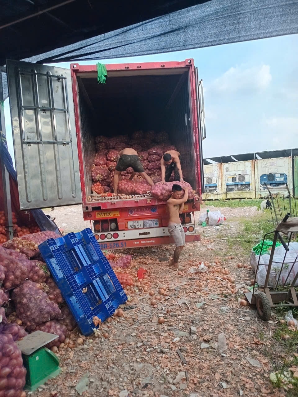 Hình ảnh bốc xếp hàng hóa 247