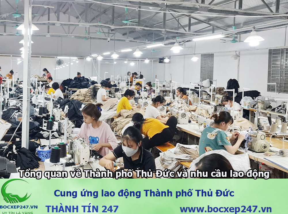 Bảng báo giá cung ứng lao động Thành phố Thủ Đức