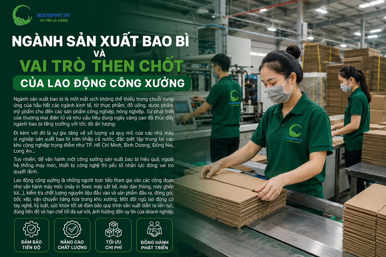 Ngành sản xuất bao bì và vai trò then chốt của lao động công xưởng