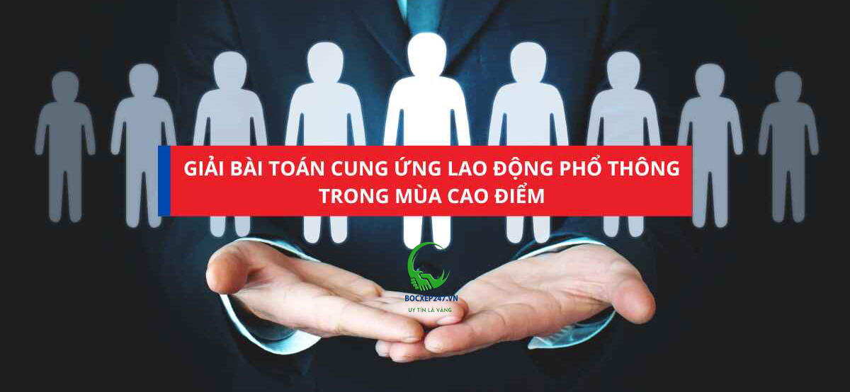 Giải Pháp Và Khuyến Nghị Cung Ứng Lao Động