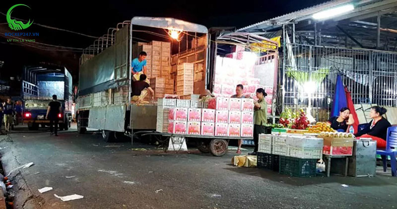 Kinh nghiệm thuê đội bốc vác chuyên nghiệp