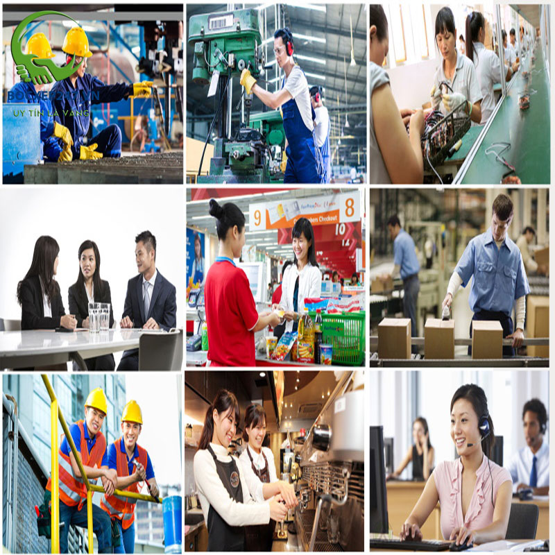 Cung ứng lao động