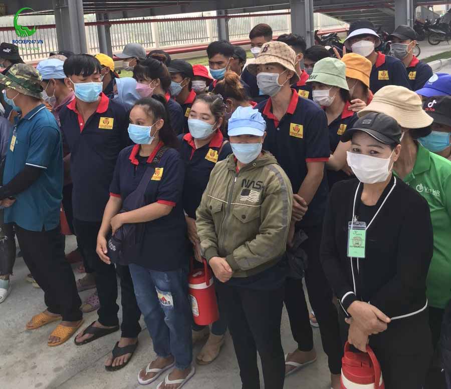 Cung Ứng Lao Động Huyện Tân Phú - Dịch Vụ Chuyên Nghiệp Từ Thành Tín 247