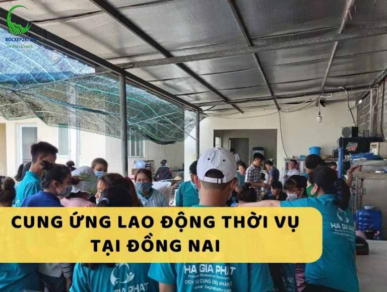 Cung ứng lao động huyện Thống Nhất (Đồng Nai)