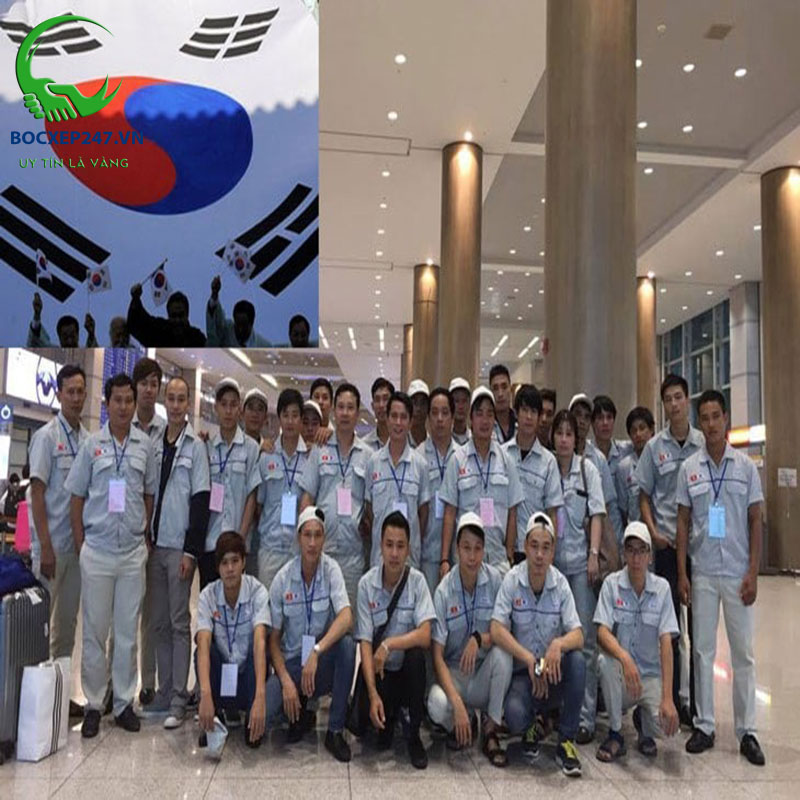 Cung Ứng Lao Động Xuất Khẩu: Giải Pháp Tối Ưu Cho Doanh Nghiệp