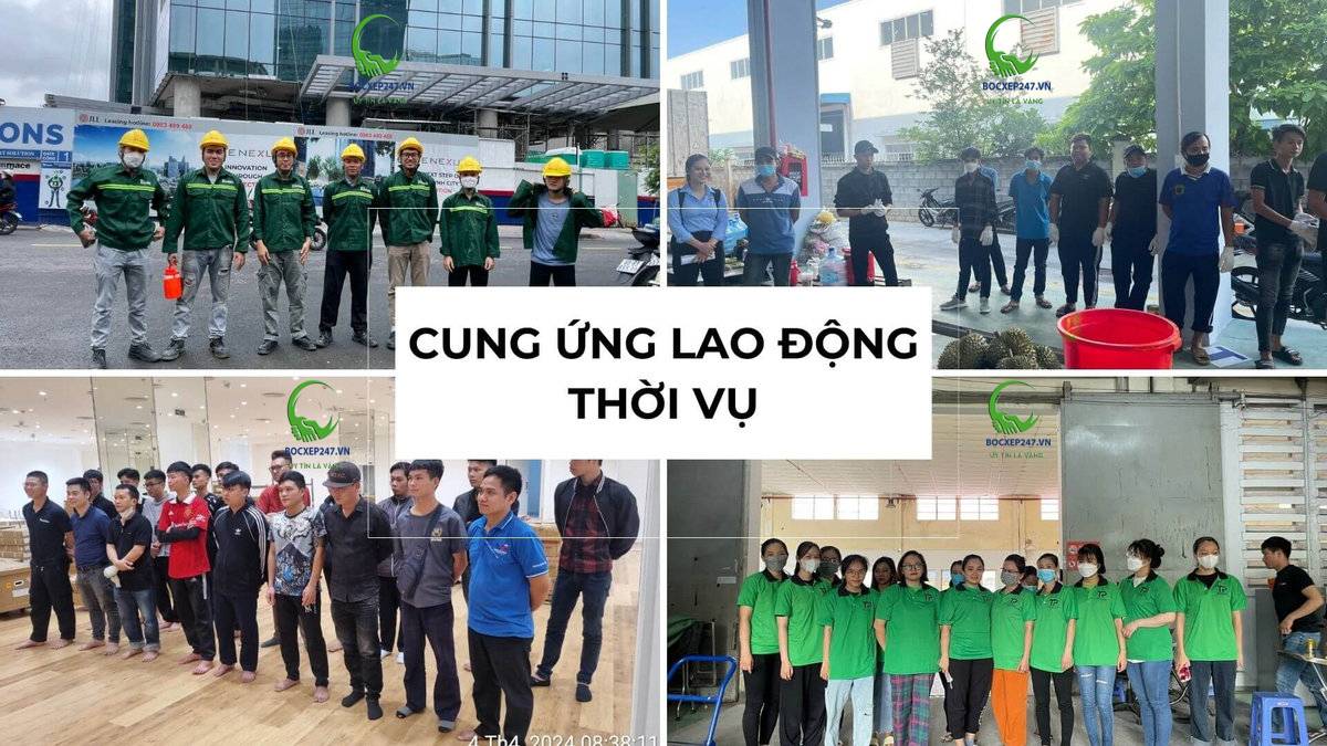 Dịch Vụ Cung Ứng Lao Động Thời Vụ Chuyên Nghiệp – Bốc Xếp 247