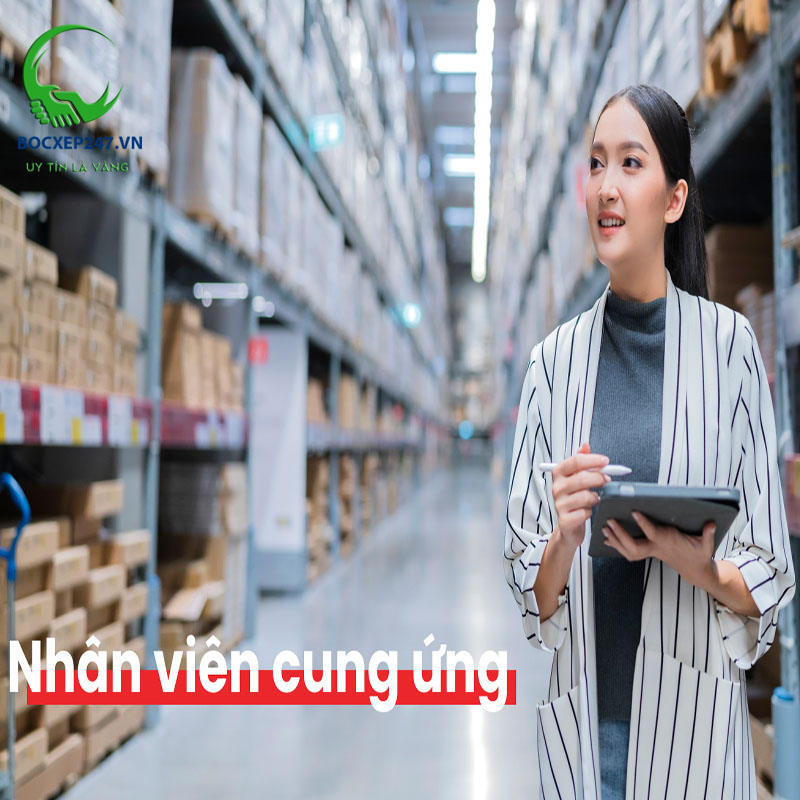 Nhân viên cung ứng là gì? Mô tả công việc & mức lương