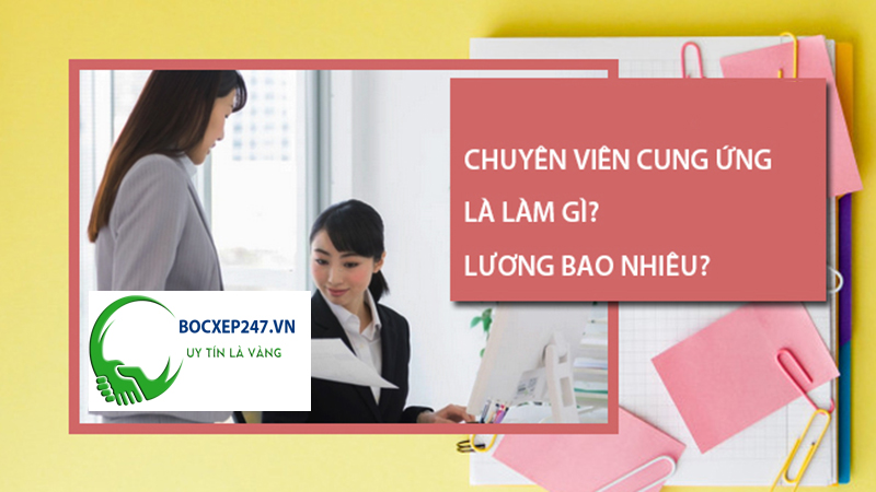 Nhân Viên Cung Ứng Lao Động: Mức Lương Bao Nhiêu? Khám Phá Dịch Vụ Bốc Xếp 247 Tại TP.HCM