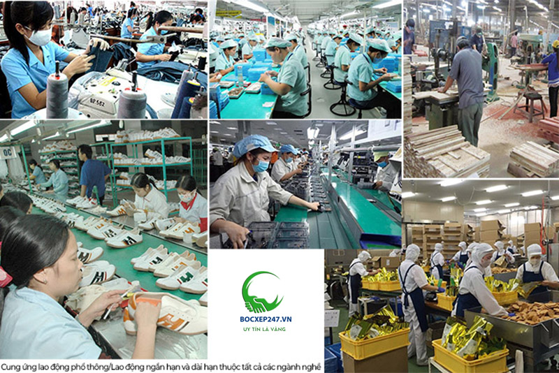 Thuê lao động phổ thông số lượng lớn