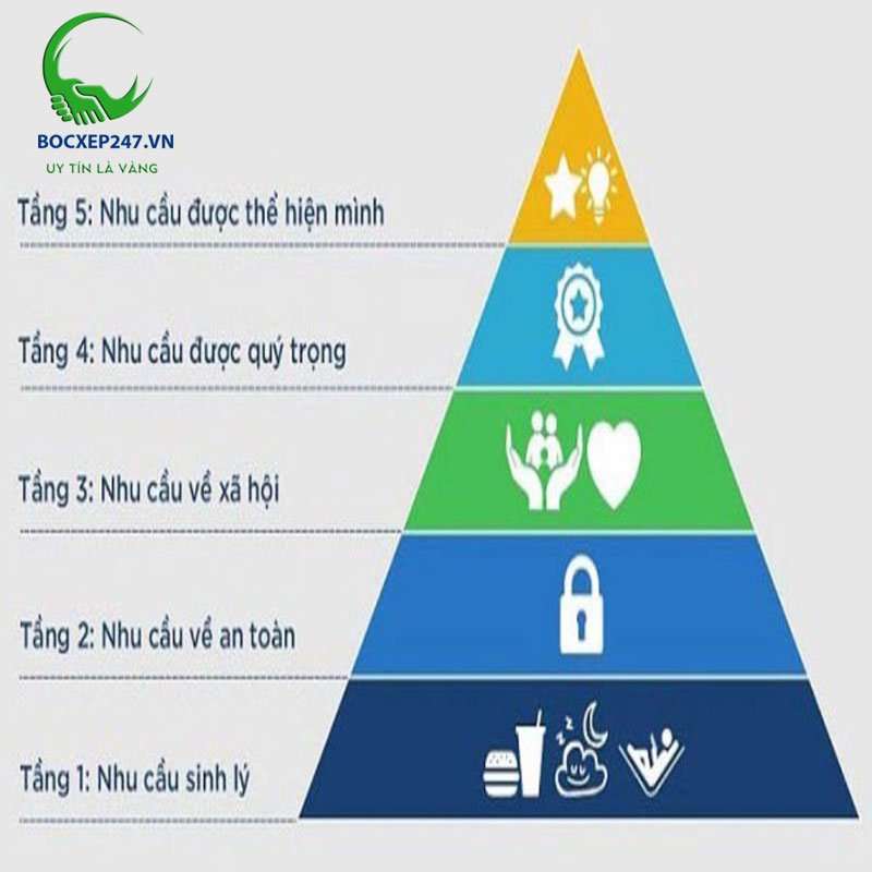 Top 5+ mô hình quản lý nhân sự hiệu quả nhất hiện nay