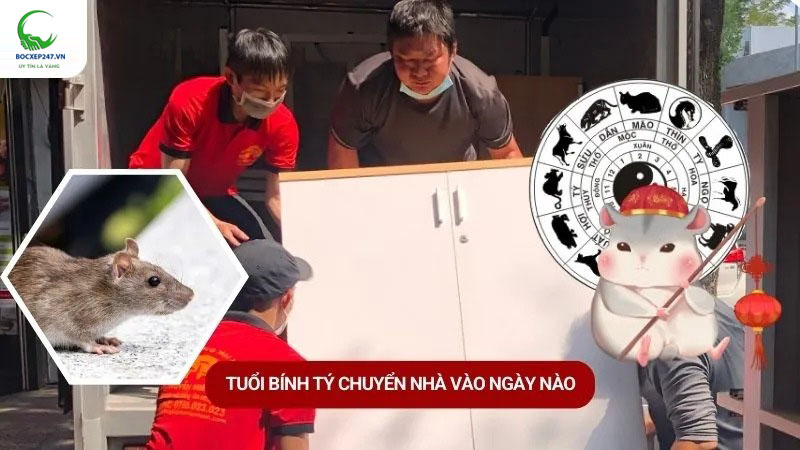 Tuổi Bính Tý chuyển nhà vào ngày nào